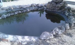 Piscina decorativa